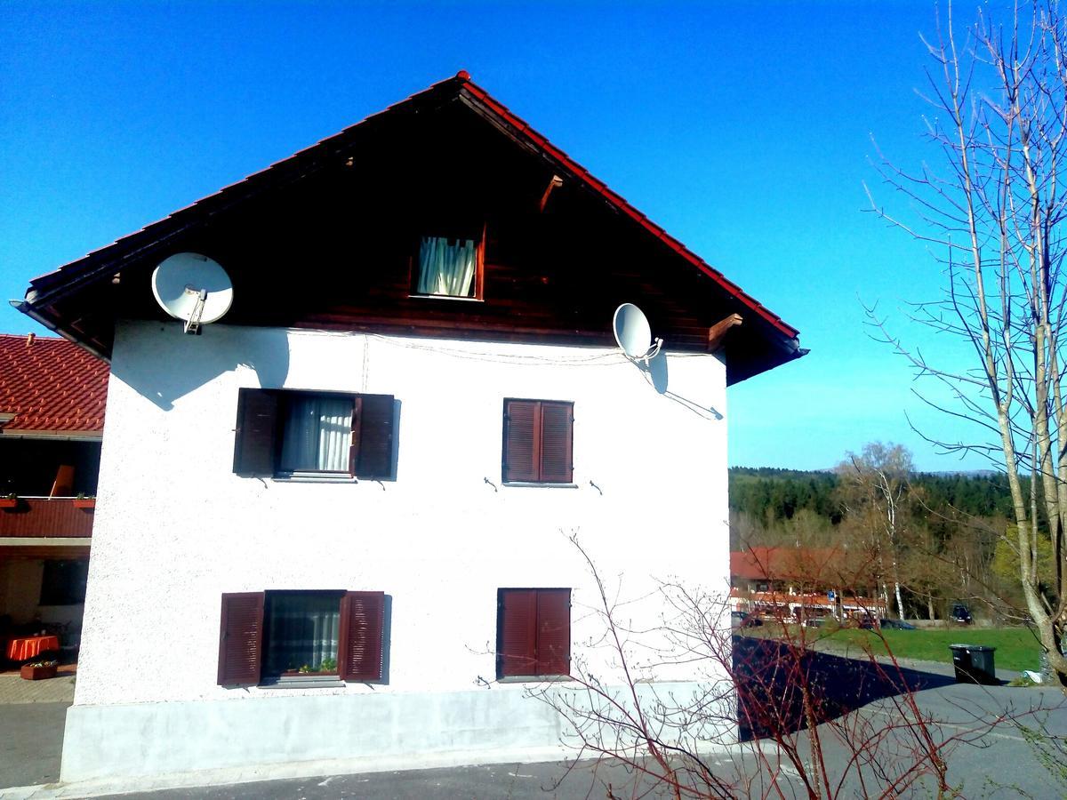 Pension Waldblick Hotel Spiegelau Exterior photo