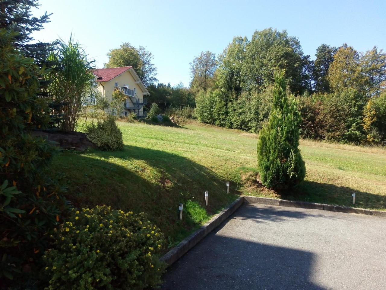 Pension Waldblick Hotel Spiegelau Exterior photo